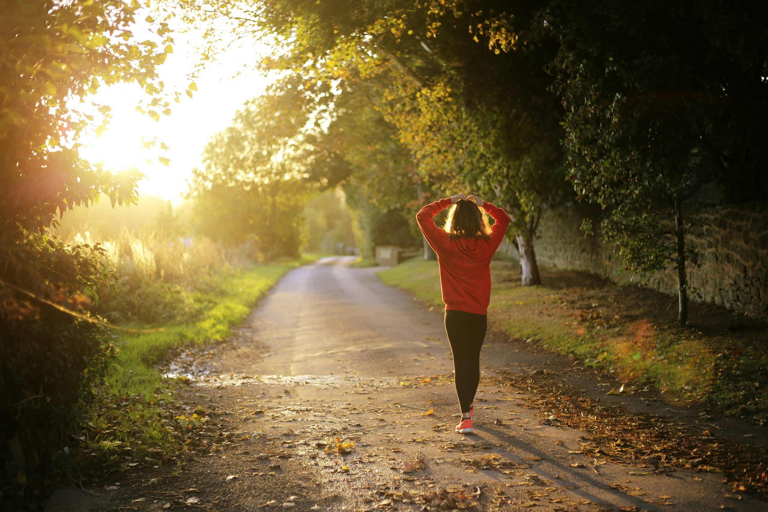 Complete Guide to Lifestyle Transformation